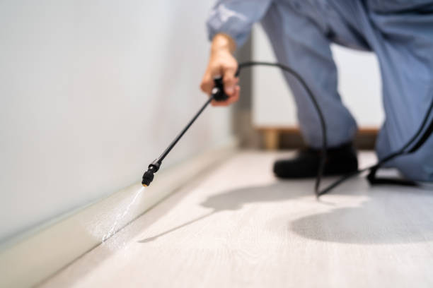 Rodent Entry Point Assessment in Gurnee