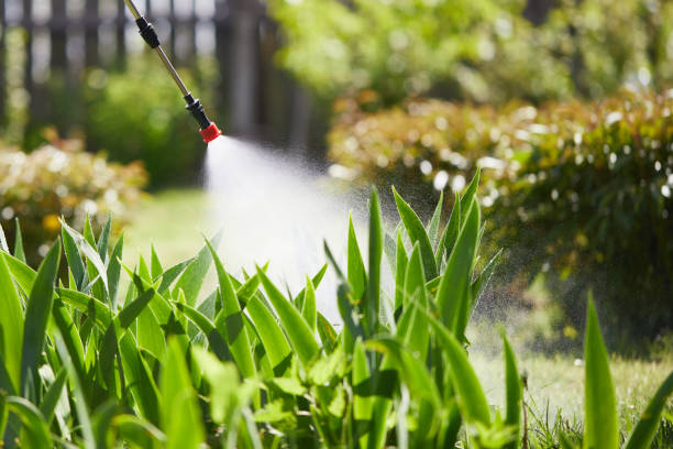 Tamper-Resistant Bait Stations for Rodents in Gurnee