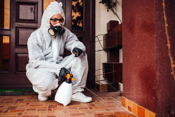Attic and Crawl Space Rodent Treatment in Gurnee
