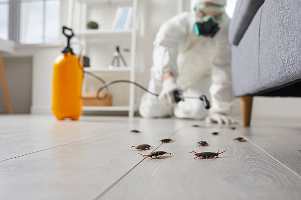 Commercial Rodent Management in Gurnee